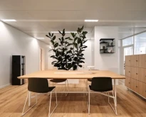 Plateau privé  idéal pour votre activité professionnelle à Issy-les-Moulineaux