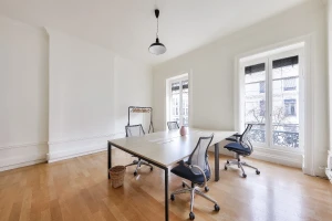 Plateau privé  idéal pour votre activité professionnelle à Lyon 1er Arrondissement