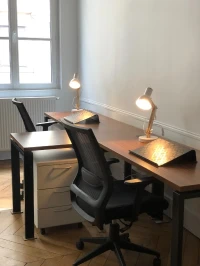 Espaces de coworking  idéal pour votre activité professionnelle à Lyon 2