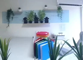 Espaces de coworking  idéal pour votre activité professionnelle à Pointe à Pitre