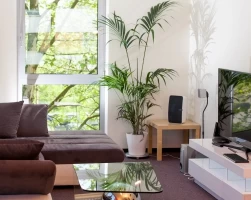 Bureau fermé  idéal pour votre activité professionnelle à Strasbourg