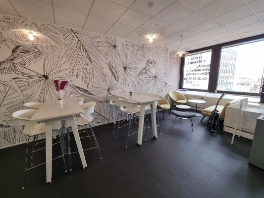 Salle de réunion  idéal pour votre activité professionnelle à Toulouse