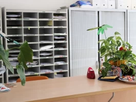 Bureau fermé  idéal pour votre activité professionnelle à Villeurbanne