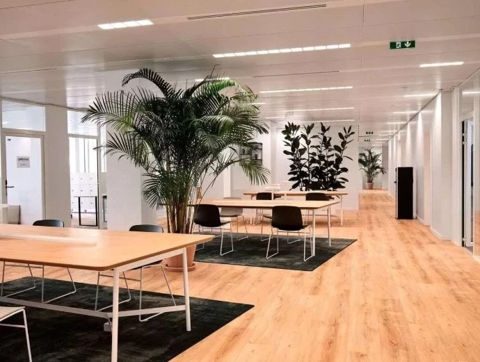 Location Plateau à Issy-les-Moulineaux