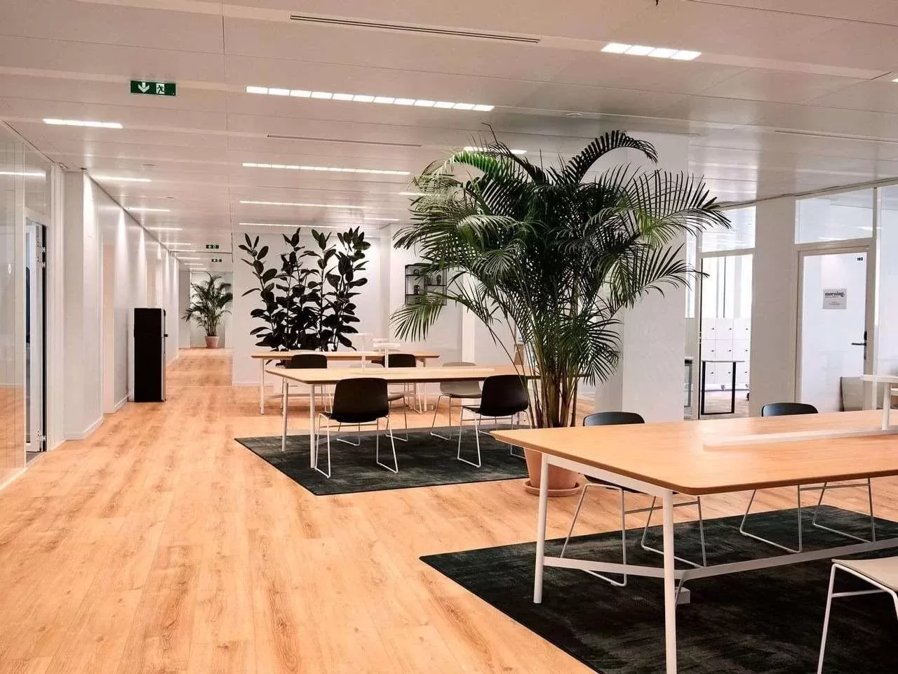 Location Plateau à Issy-les-Moulineaux