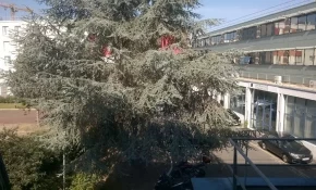 Bureau fermé  idéal pour votre activité professionnelle à Issy-les-Moulineaux