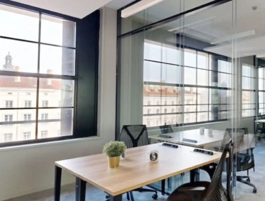 Bureau fermé  idéal pour votre activité professionnelle à Lyon 2e Arrondissement