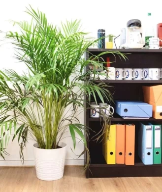 Bureau fermé  idéal pour votre activité professionnelle à Bayonne