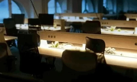 Espaces de coworking  idéal pour votre activité professionnelle à Bordeaux