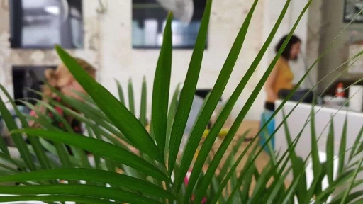 Espaces de coworking  idéal pour votre activité professionnelle à Clermont-Ferrand