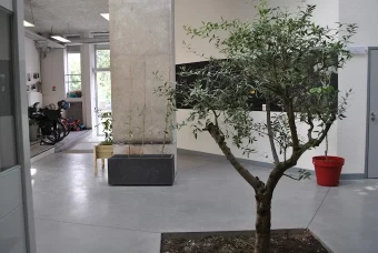 Bureau fermé  idéal pour votre activité professionnelle à Lyon 7e Arrondissement