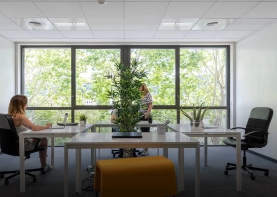 Bureau fermé  idéal pour votre activité professionnelle à Lyon 9e Arrondissement