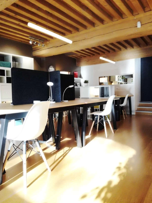 Espaces de coworking  idéal pour votre activité professionnelle à Lyon
