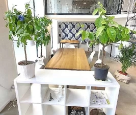 Espaces de coworking  idéal pour votre activité professionnelle à Lyon