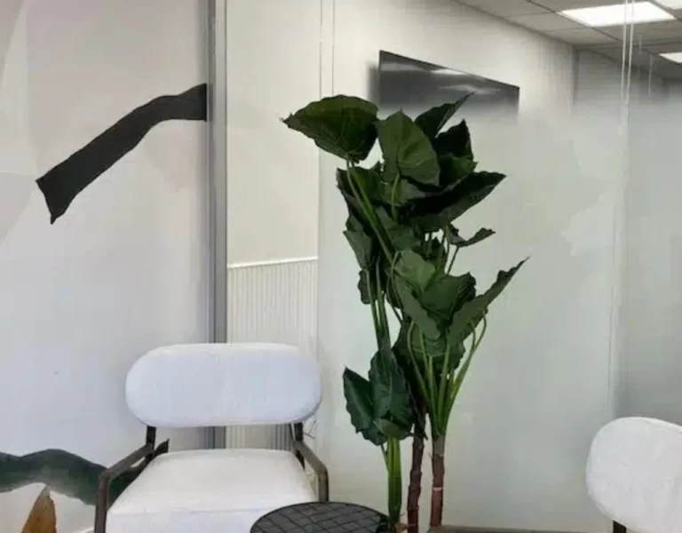 Plateau privé  idéal pour votre activité professionnelle à Lyon