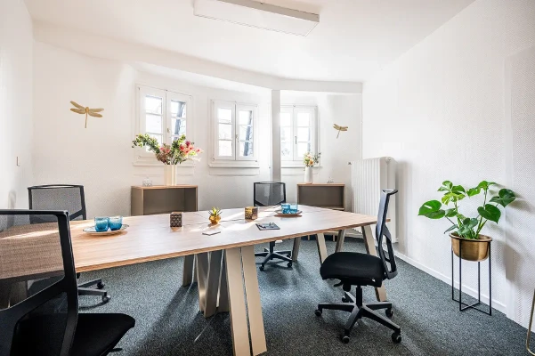 Bureau fermé  idéal pour votre activité professionnelle à Metz