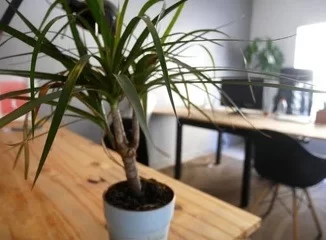Bureau fermé  idéal pour votre activité professionnelle à Montpellier