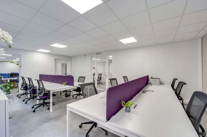 Espaces de coworking  idéal pour votre activité professionnelle à Paris