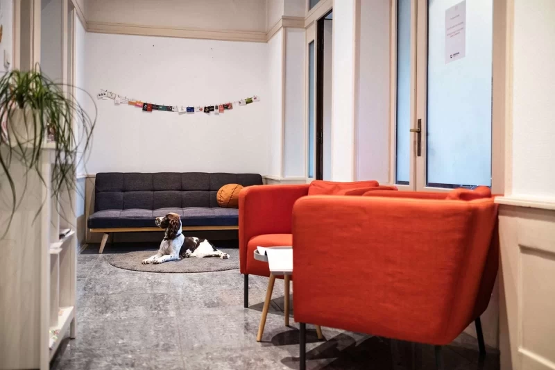 Salle de réunion  idéal pour votre activité professionnelle à Strasbourg