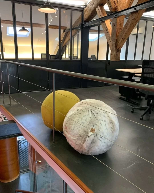 Salle de réunion  idéal pour votre activité professionnelle à Toulouse