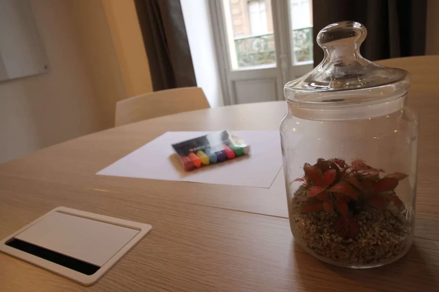 Salle de réunion  idéal pour votre activité professionnelle à Toulouse