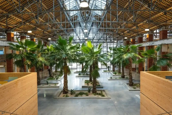 Espaces de coworking  idéal pour votre activité professionnelle à Toulouse