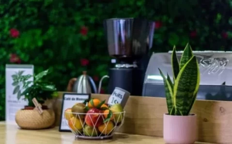 Salle de réunion  idéal pour votre activité professionnelle à Toulouse